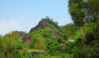 武夷山自助旅游攻略 武夷山自助旅游攻略
