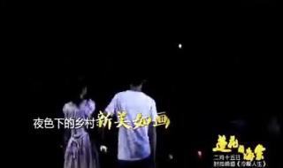 莲花闹海棠普法栏目剧 莲花闹海棠普法栏目剧